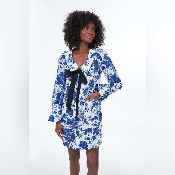 Tuckernuck Dresses & Skirts - Tuckernuck Blue and White Floral Long-Sleeve Mini Dress with Black Bow